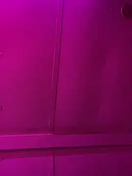 Snapshot of jcwxt chatting on March 1, 2026, 11:56 am jcwxt online show from March 1, 2026, 11:56 am