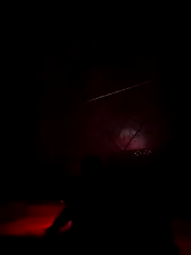 lis2025 online show from March 14, 2026, 5:57 am