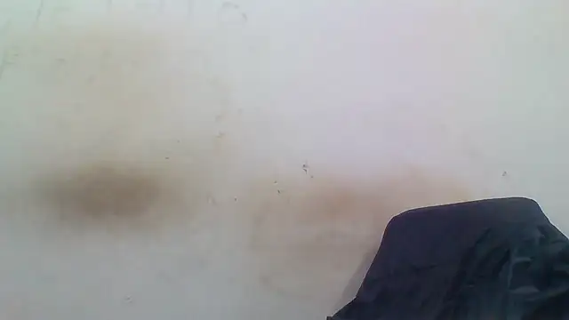 sasatimido online show from December 3, 2025, 1:31 pm