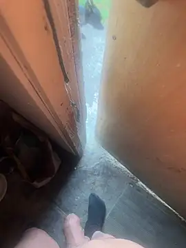 silverbay-456 online show from February 7, 2026, 4:00 pm