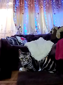 SquirtMilf00 online show from February 18, 2025, 7:10 am