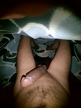 Desi Horny Boys online show from January 8, 2026, 4:31 pm