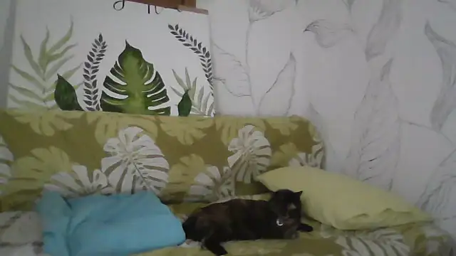 Catty Lady online show from September 27, 2025, 6:35 pm