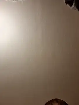 gazb90 online show from November 14, 2025, 11:24 pm