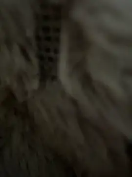 anonimgirl18old online show from February 25, 2026, 8:35 am