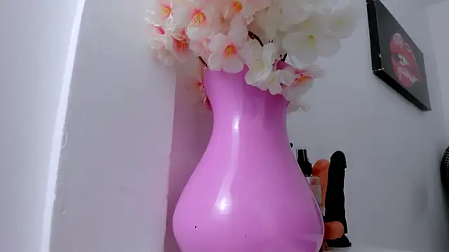 Snapshot of eimy_skinny_ chatting on January 18, 2026, 1:04 pm eimy skinny online show from January 18, 2026, 1:04 pm