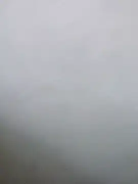 Saikishore00000 online show from February 3, 2026, 11:59 am