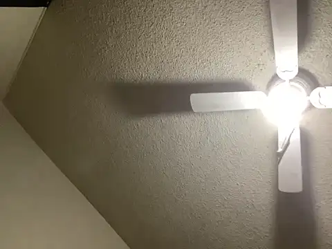 Snapshot of NiftyCaptain3 chatting on March 31, 2026, 3:45 pm NiftyCaptain3 online show from March 31, 2026, 3:45 pm