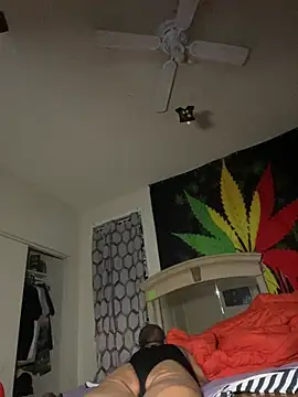 Snapshot of NiftyCaptain3 chatting on April 3, 2026, 7:06 am NiftyCaptain3 online show from April 3, 2026, 7:06 am