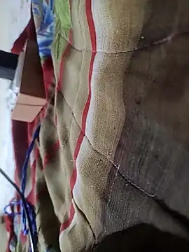 Snapshot of Telugu_person12 chatting on February 16, 2026, 9:00 pm Telugu person12 online show from February 16, 2026, 9:00 pm