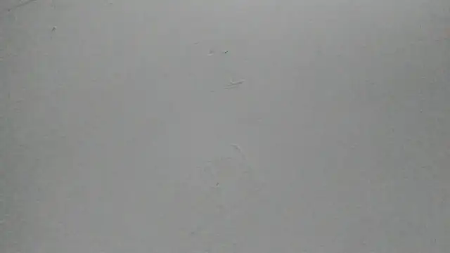 Snapshot of Sophia_Ebony chatting on February 25, 2026, 12:04 pm Sophia Ebony online show from February 25, 2026, 12:04 pm