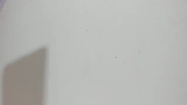 Sophia Ebony online show from May 15, 2026, 12:12 pm