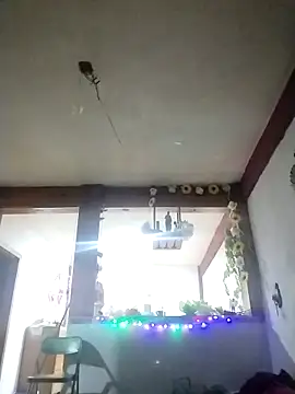 perrotjuui97 online show from November 15, 2025, 1:47 am