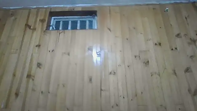 Roselingalvis13 online show from October 30, 2025, 3:19 am