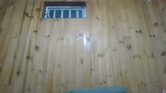 Roselingalvis13 online show from December 3, 2025, 3:03 am