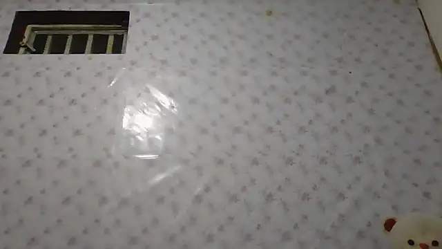 Roselingalvis13 online show from January 14, 2026, 2:28 am