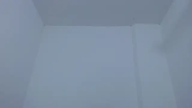 carolina zabala 19 online show from December 17, 2025, 7:20 pm