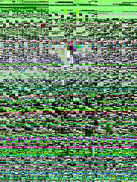 haiyan125216 online show from September 9, 2025, 1:16 am