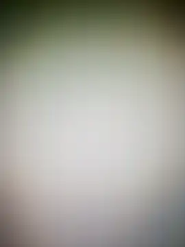 Snapshot of guridosul051 chatting on March 17, 2026, 12:19 pm guridosul051 online show from March 17, 2026, 12:19 pm