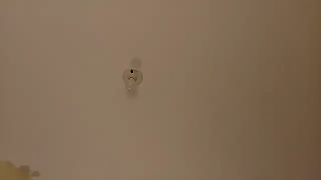 Amanda sweet online show from October 17, 2025, 1:03 pm