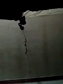 Luk909090 online show from October 20, 2025, 9:32 am