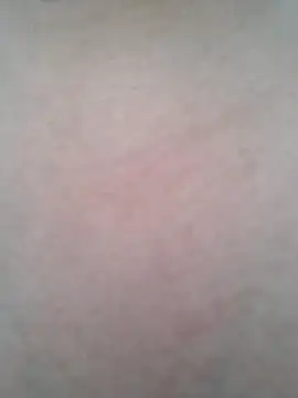 BigBoobs186 online show from October 20, 2025, 1:28 am