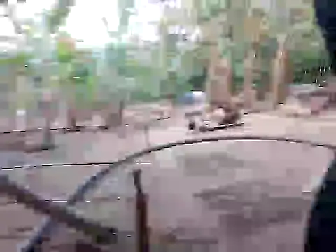 BigBoobs186 online show from November 10, 2025, 10:03 am