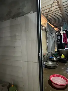 ThiHa003 online show from April 1, 2026, 12:55 am