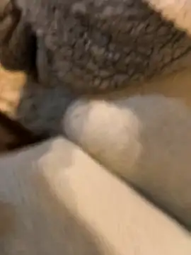 Snapshot of boy8540 chatting on January 19, 2026, 5:44 am boy8540 online show from January 19, 2026, 5:44 am