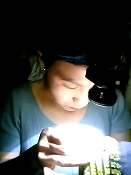 Snapshot of nasy_lady chatting on October 12, 2025, 12:37 pm nasy lady online show from October 12, 2025, 12:37 pm