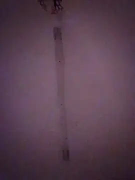 Snapshot of Bebita-zmp chatting on March 28, 2026, 2:11 am Bebita-zmp online show from March 28, 2026, 2:11 am