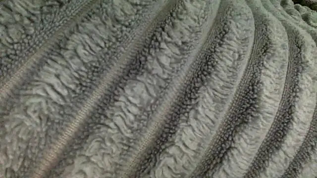 slutzilly online show from March 13, 2026, 3:29 pm