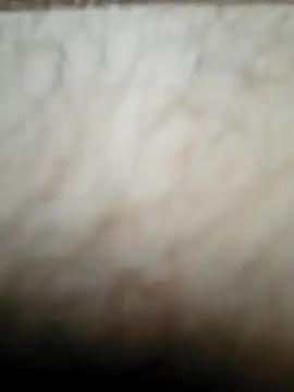 nikads0 online show from May 19, 2026, 1:39 pm