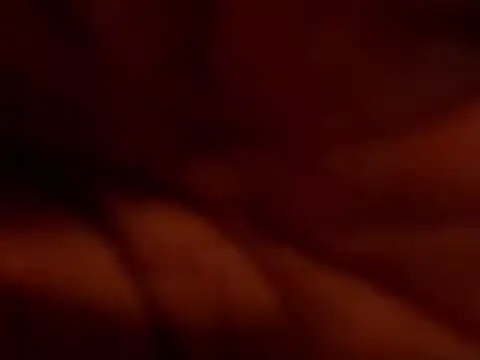 TRANSPORNIDOL online show from November 22, 2025, 7:24 pm