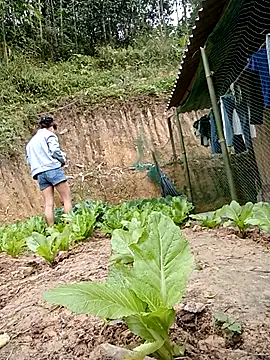 daisy will online show from January 19, 2026, 3:21 am