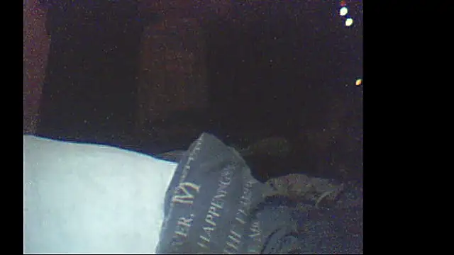 pietje1991 online show from January 11, 2026, 12:37 am