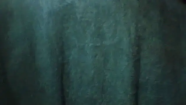 pietje1991 online show from February 28, 2026, 3:46 pm