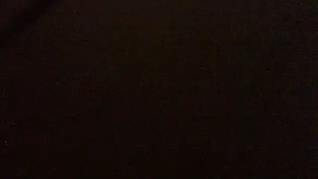 pietje1991 online show from April 16, 2026, 1:50 am