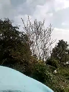 Tiyir597 online show from March 1, 2026, 2:02 am