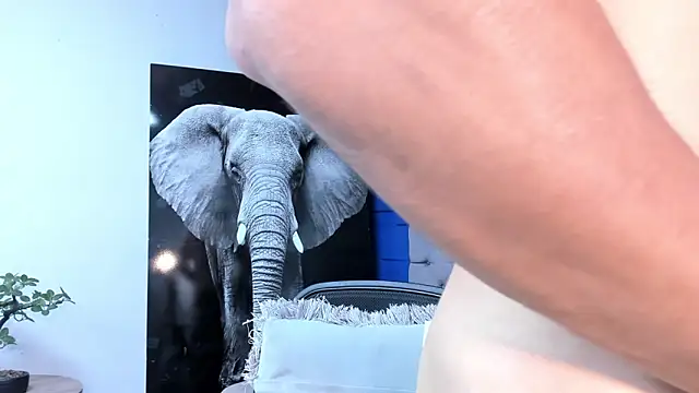 andres-clark92 online show from September 20, 2025, 5:03 pm