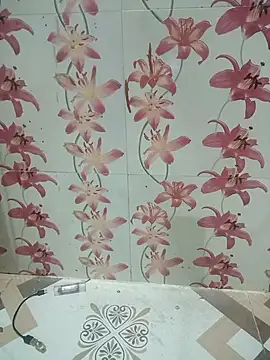 Snapshot of Meenaksi-singh chatting on October 1, 2025, 7:42 pm Meenaksi-singh online show from October 1, 2025, 7:42 pm