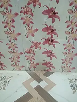 Snapshot of Meenaksi-singh chatting on October 4, 2025, 5:16 am Meenaksi-singh online show from October 4, 2025, 5:16 am