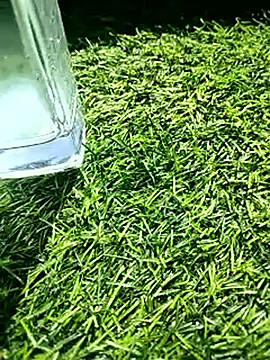 BlackhorseBBC online show from February 18, 2026, 6:31 am