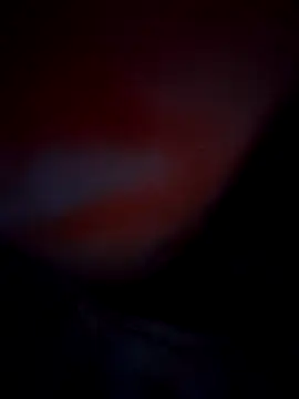 Exotic-bhabhi online show from October 10, 2025, 8:52 pm