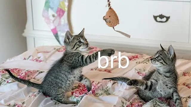 Pink girl0n online show from March 25, 2026, 11:44 pm