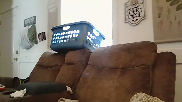 Snapshot of alwayshorny90 chatting on November 5, 2025, 5:35 pm alwayshorny90 online show from November 5, 2025, 5:35 pm