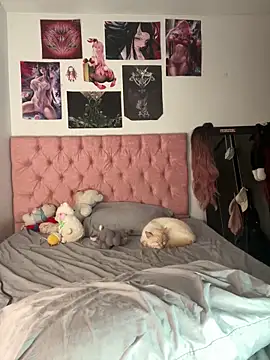  maki   online show from December 20, 2025, 2:18 am