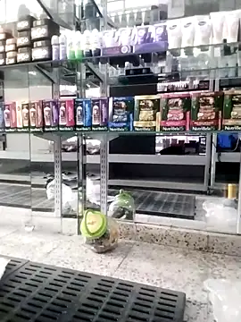 Katyuskka love online show from November 25, 2025, 4:51 pm