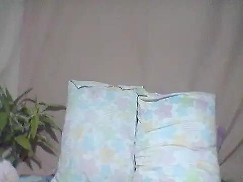 Snapshot of 66pineapple chatting on October 8, 2025, 12:47 pm 66pineapple online show from October 8, 2025, 12:47 pm