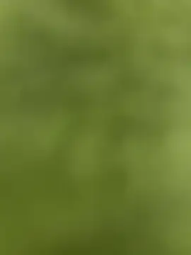 Snapshot of youyou933 chatting on September 12, 2025, 5:57 pm youyou933 online show from September 12, 2025, 5:57 pm